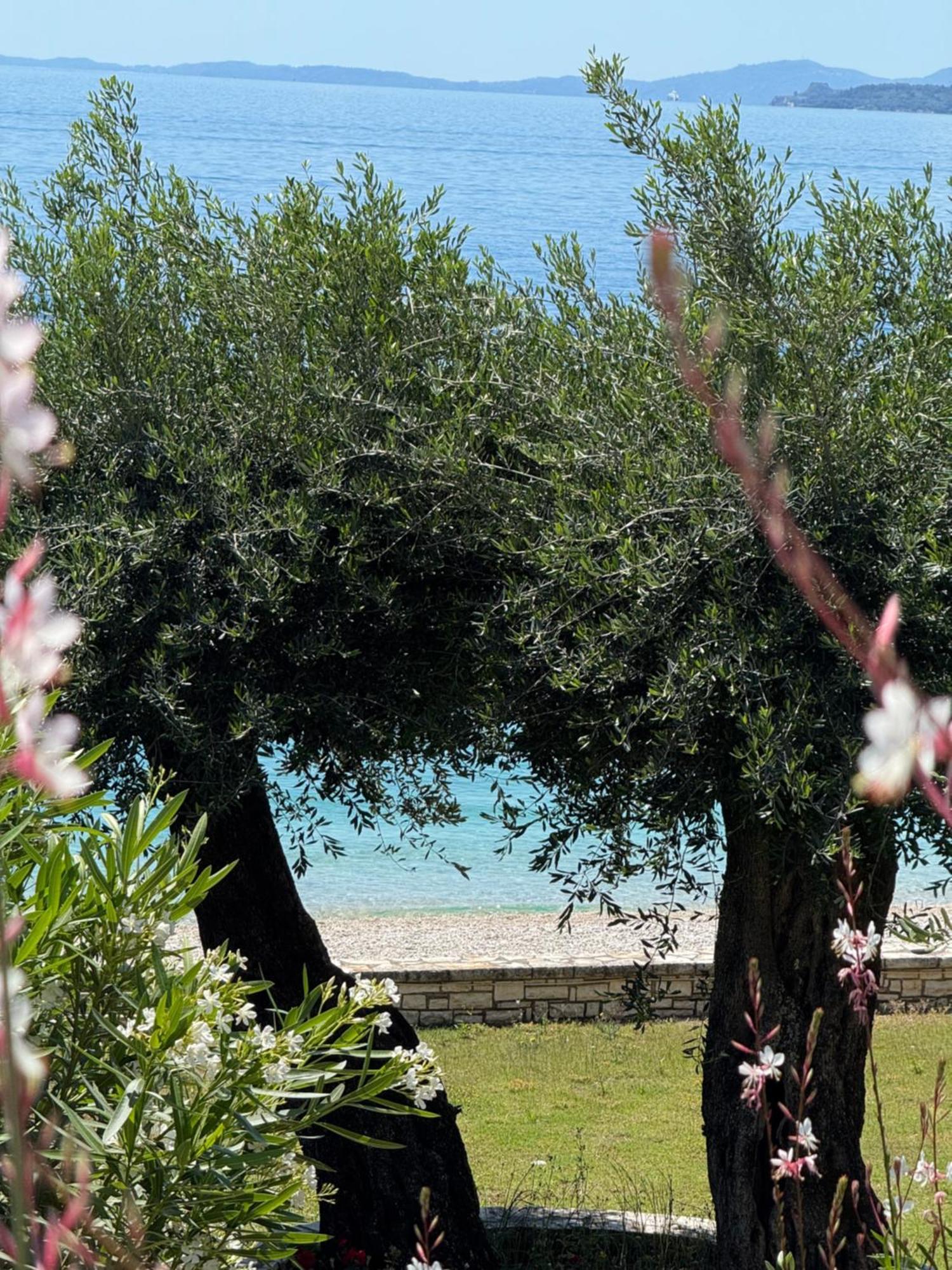 شقة Nissaki Bay نساكيون المظهر الخارجي الصورة